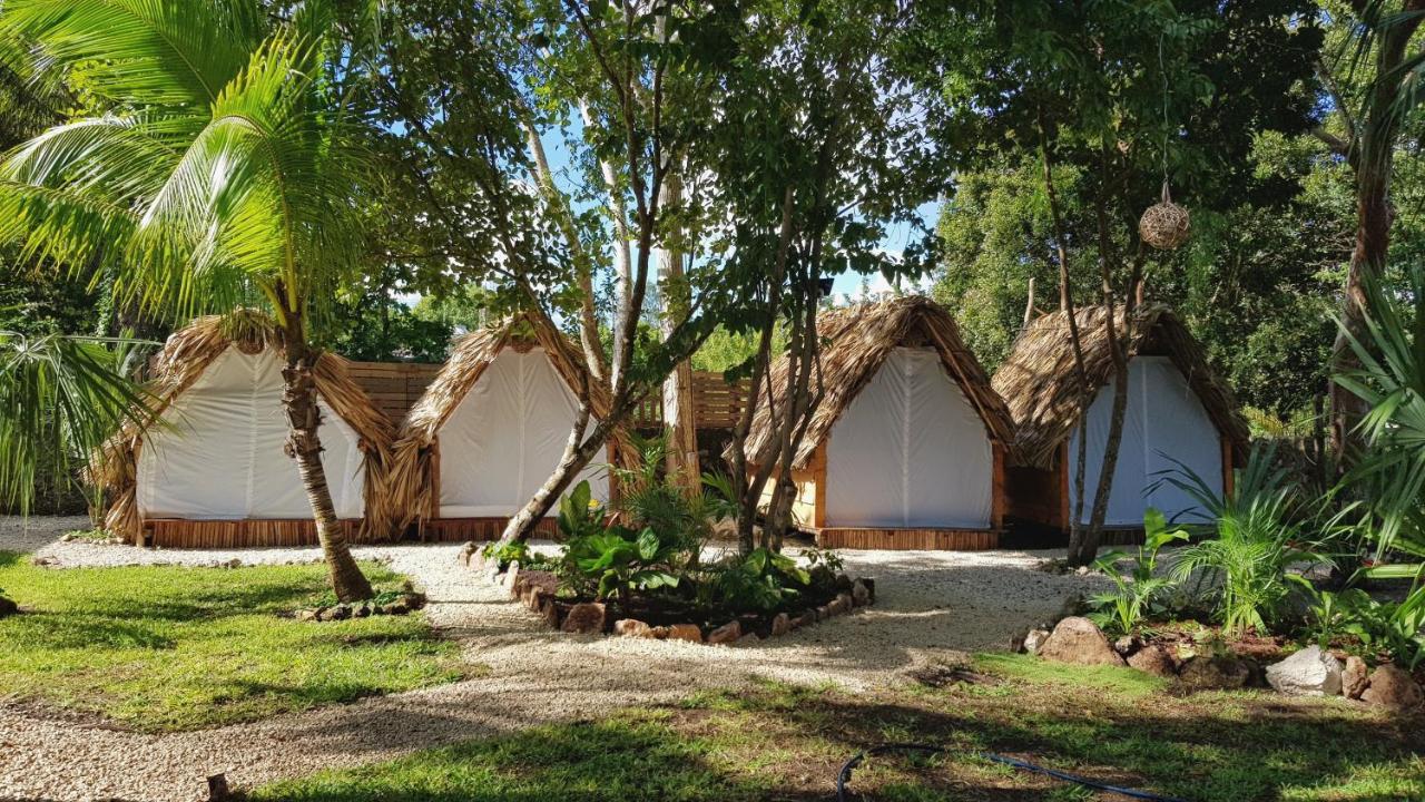 El Buho Bacalar Eco-Cabanas Hostal Exterior foto