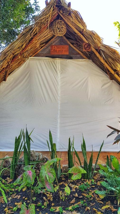 El Buho Bacalar Eco-Cabanas Hostal Exterior foto